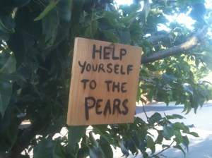 pearsign