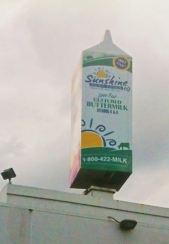 Giant Milk Carton