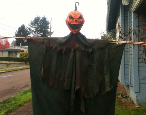 pumpkin head close up