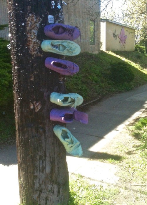 Shoe art Division St