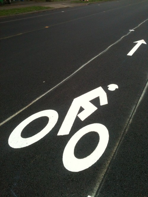 Bike lane marker plain
