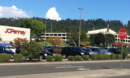 Puffy clouds lighten the atmosphere.