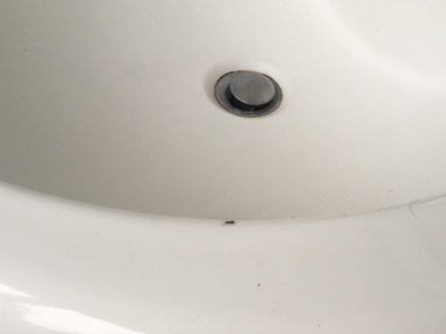 All who wander aren't lost. Get lost!