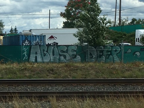 abuse-graffiti-nov-9