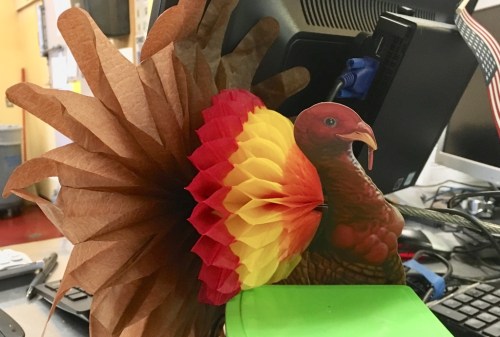 the-turkey-of-st-johns-2