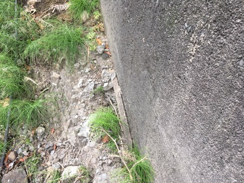 A53C9014-8E9F-48EC-BB65-284944099D71